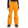 The North Face Freedom Insulated Tall Pants - Women's 1 The North Face Freedom Insulated Tall Pants - Women's -The North Face Sales 2022 the north face freedom insulated tall pants women s 0