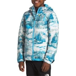 The North Face ThermoBall Eco Hoodie - Boys'