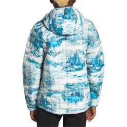 The North Face ThermoBall Eco Hoodie - Boys' -The North Face Sales 2022 the north face thermoball eco hoodie boys 2 1